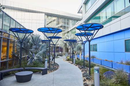 Blue walls and blue sunshades of MLKCH hospital's healing garden